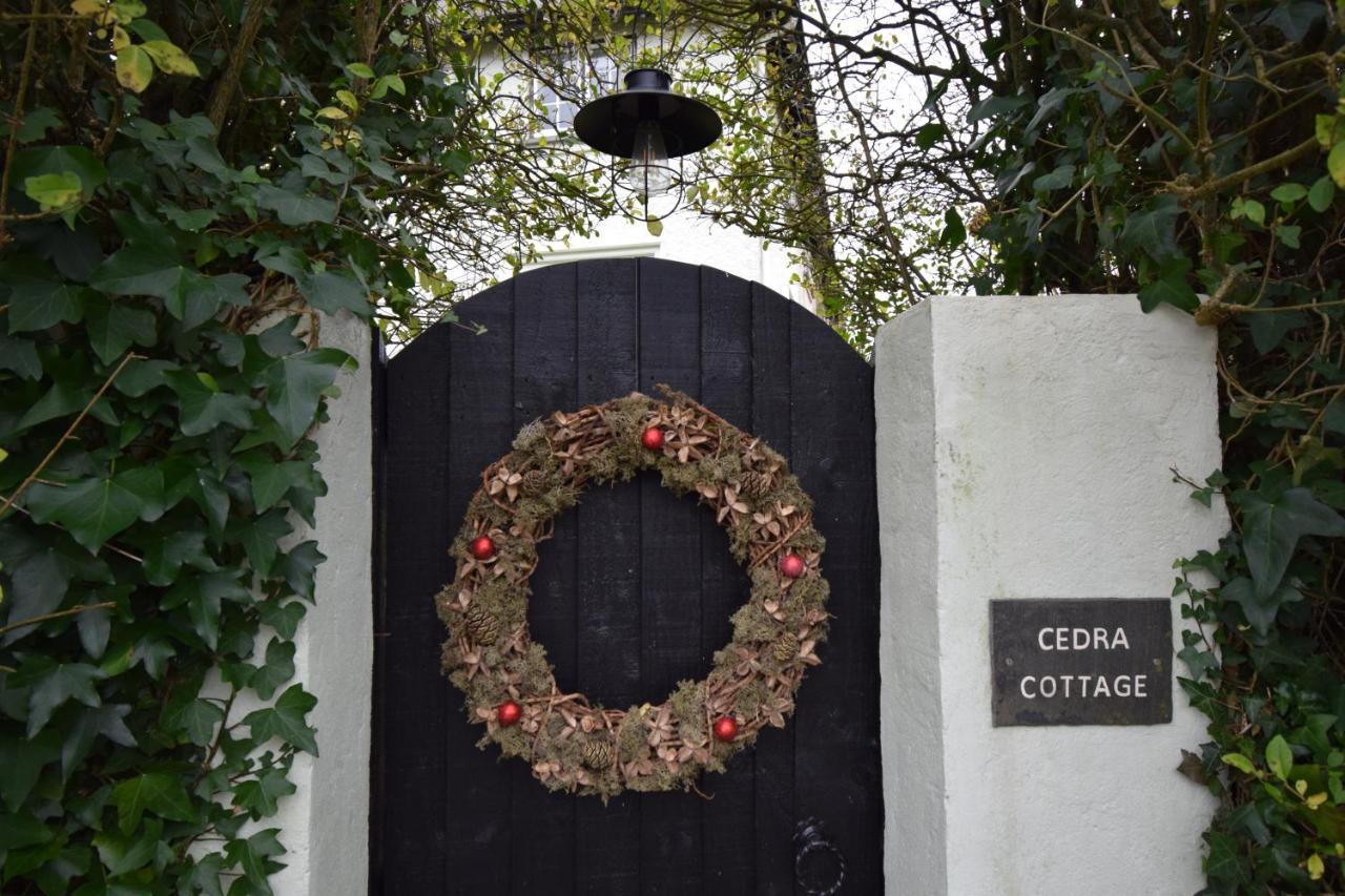 Cedra Cottage - Vintage Country Hideaway Аксминстер Экстерьер фото