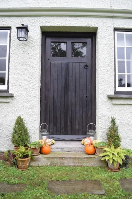 Cedra Cottage - Vintage Country Hideaway Аксминстер Экстерьер фото